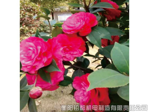 工厂环境