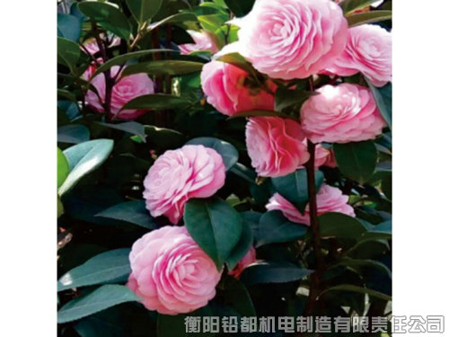 工厂环境